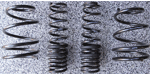 RCE Black Springs, Mitsubishi EVO VIII / IX
