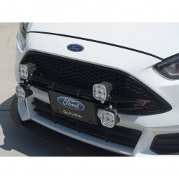 Rally Innovations Light Plate, 2015-2018 Focus ST