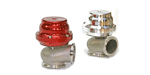 TiAL V44 Wastegate (44mm, V-Band)