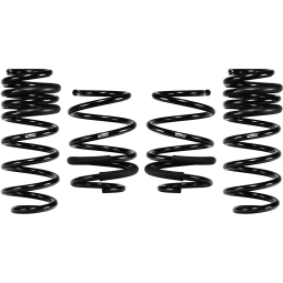 Eibach Pro-Kit Performance Springs, 2023-2025 Civic Type R