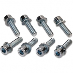IAG Replacement Hardware For IAG-AFD-3010/3040 TGVs, '02-'14 WRX & '07-'21 STi