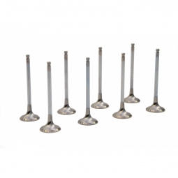 Roger Clark Motorsport Uprated Exhaust Valve Set, '02-'14 WRX & '04-'21 STi