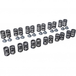 Tomei Performance Valve Spring Set, RB25DET